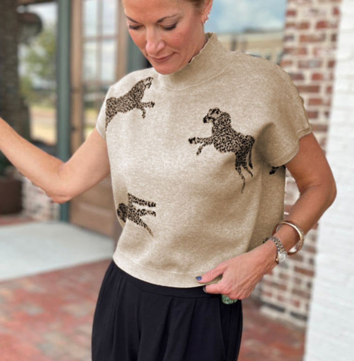 Cheetah short sleeve sweater